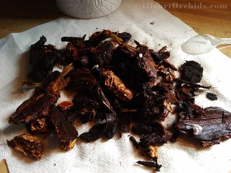 Better-Gro Phalaenopsis Orchid Bark Mix after soaking in hot water